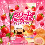 Bizcochitos Bourbon Sabor Frutos Rojos